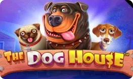 The Dog House by Pragmatic Play – Golden Pharaoh Casino